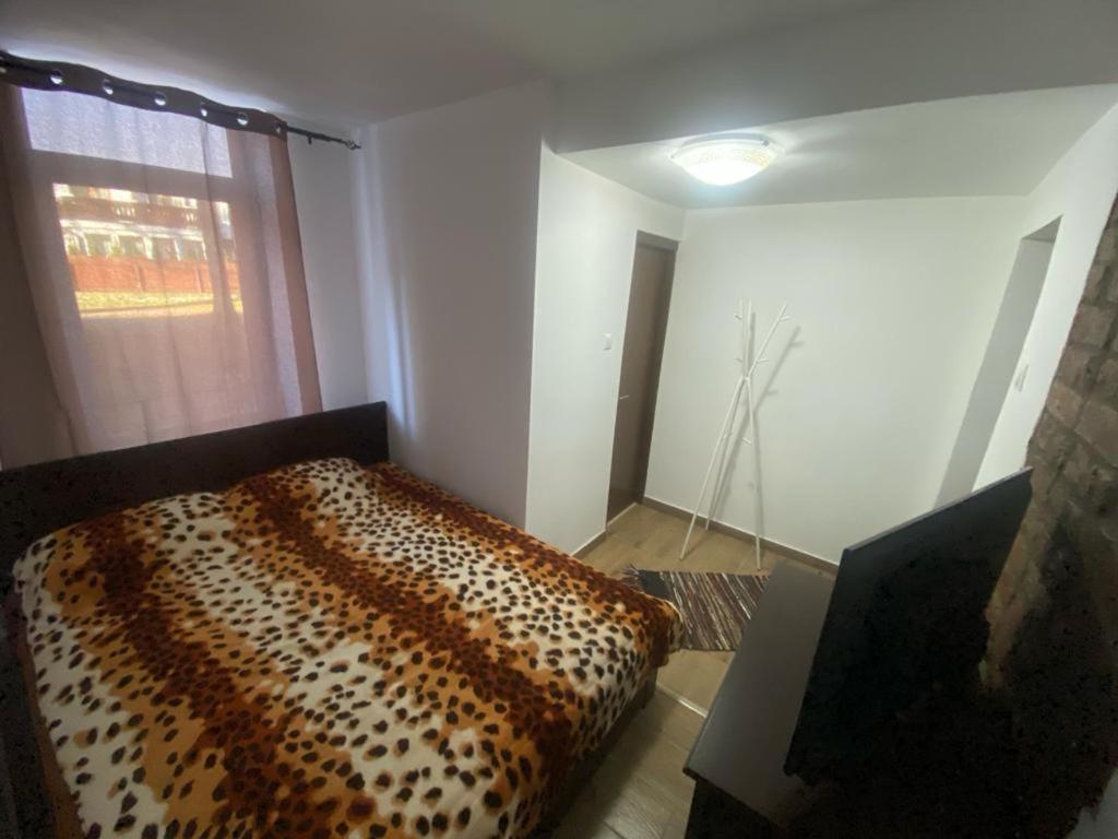 Elle Guest House Синая Экстерьер фото